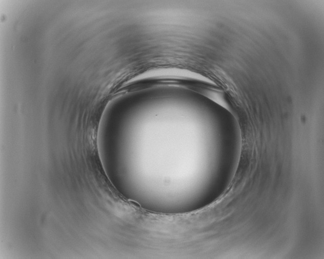 X0000089930045200706291208