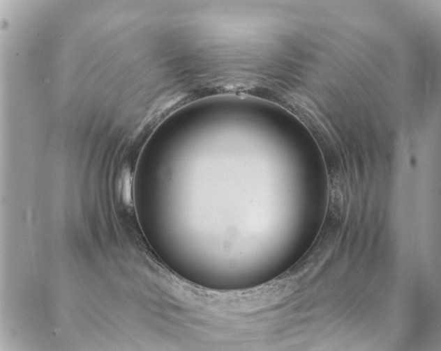 X0000089930046200706291208