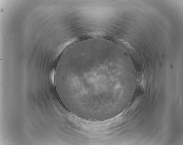 X0000089930047200706291208