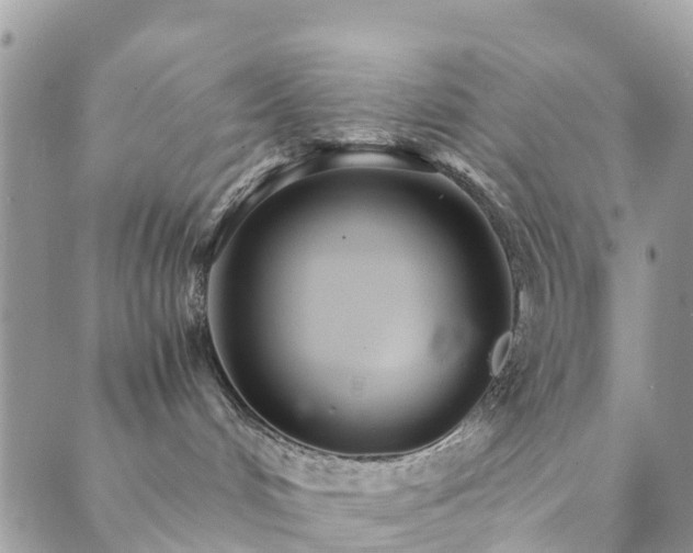 X0000089930048200706291208