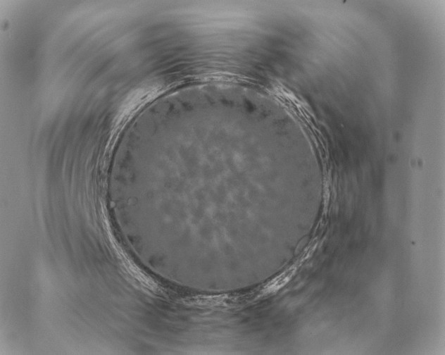 X0000089930049200706291208