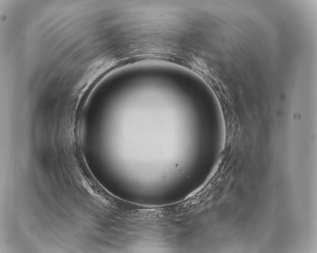 X0000089930050200706291208