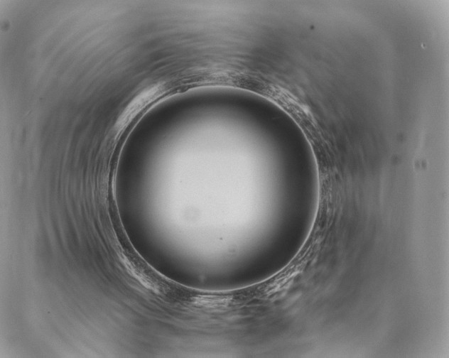 X0000089930051200706291208