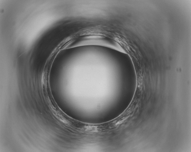 X0000089930052200706291208