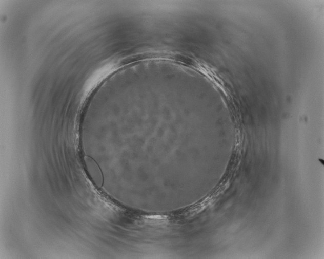 X0000089930053200706291208