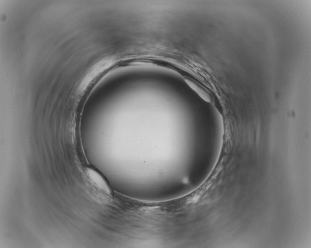 X0000089930054200706291208