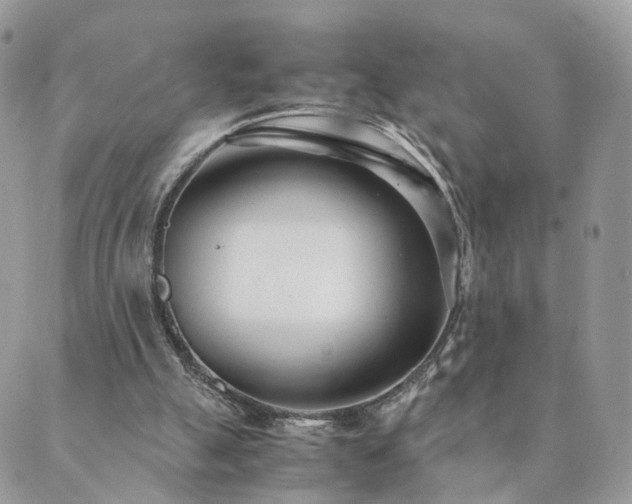 X0000089930055200706291208