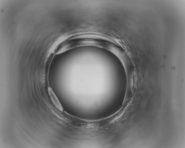 X0000089930056200706291208