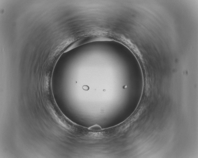 X0000089930057200706291208