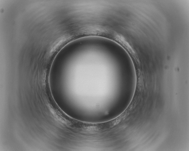 X0000089930058200706291208