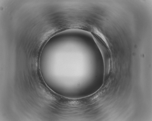 X0000089930059200706291208