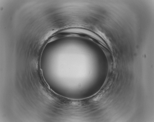 X0000089930060200706291208