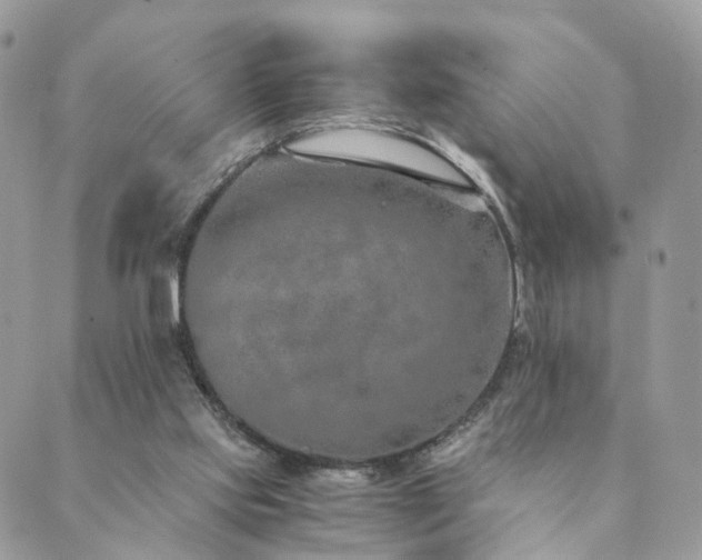 X0000089930061200706291208