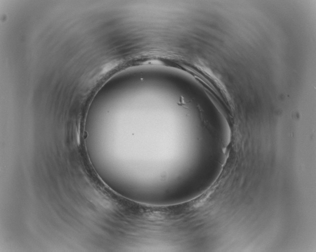 X0000089930062200706291208