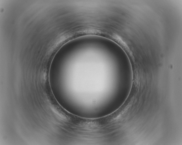 X0000089930063200706291208