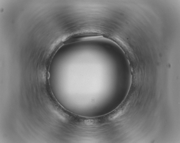 X0000089930064200706291208