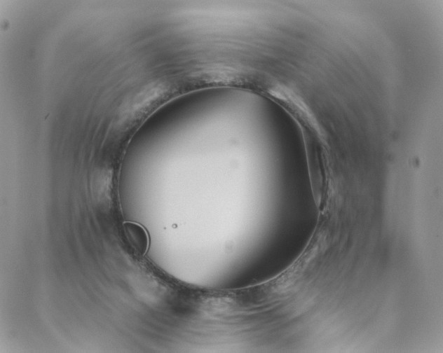 X0000089930066200706291208