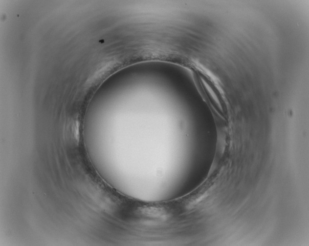 X0000089930067200706291208