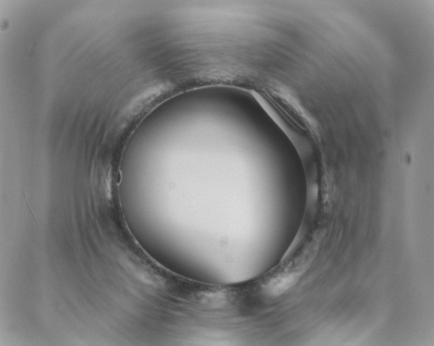 X0000089930068200706291208