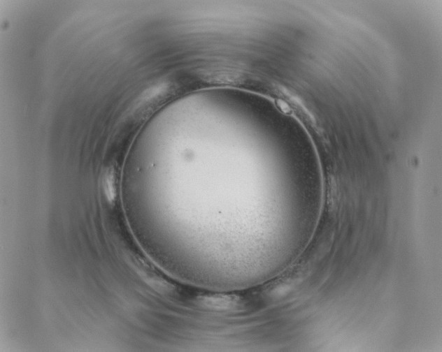 X0000089930069200706291208