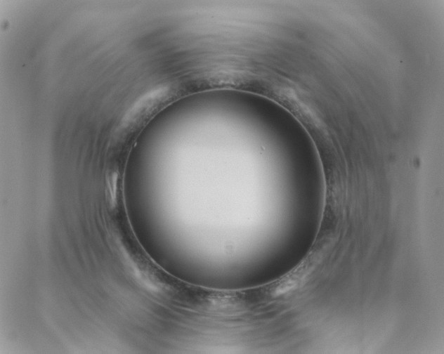 X0000089930070200706291208