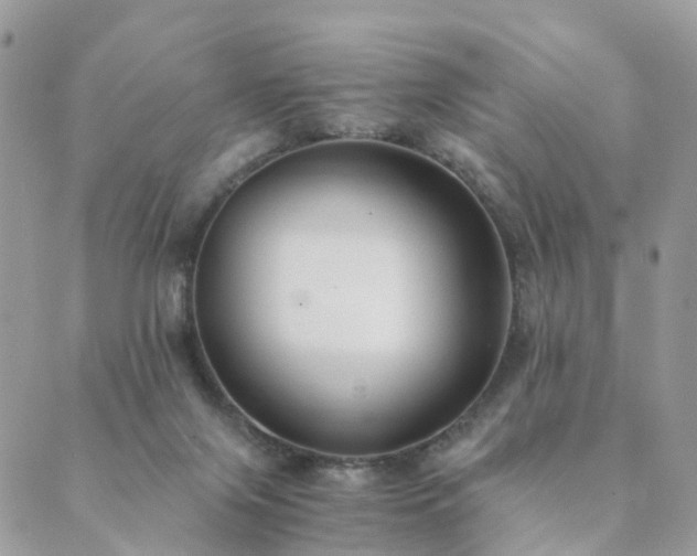 X0000089930071200706291208