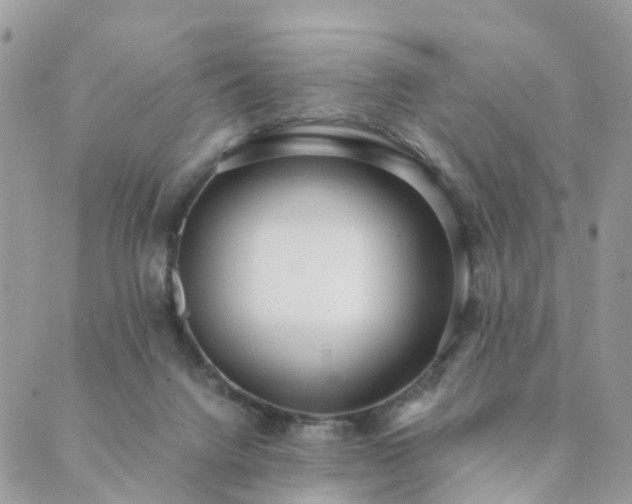 X0000089930072200706291208