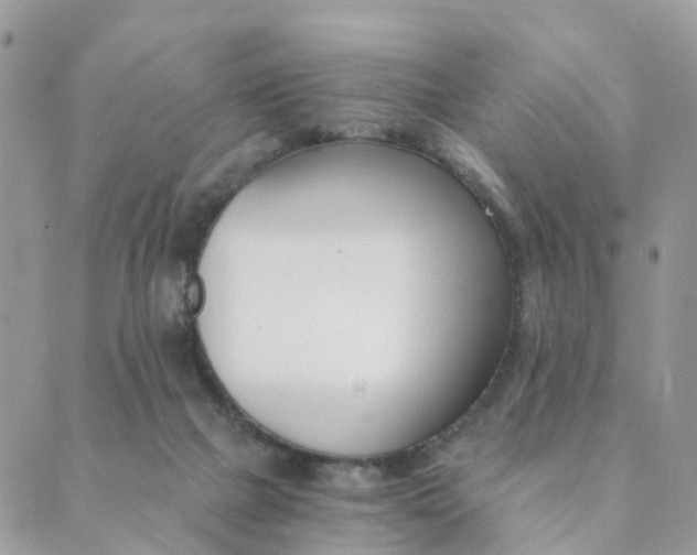 X0000089930073200706291208