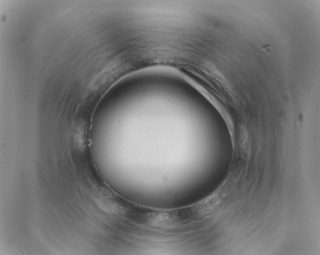 X0000089930074200706291208