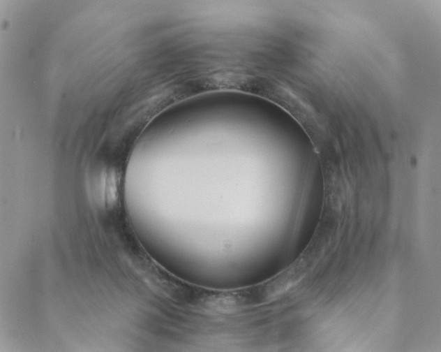 X0000089930075200706291208