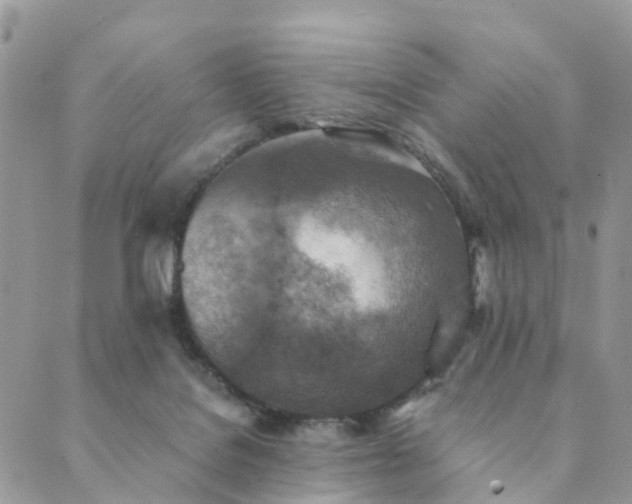 X0000089930076200706291208