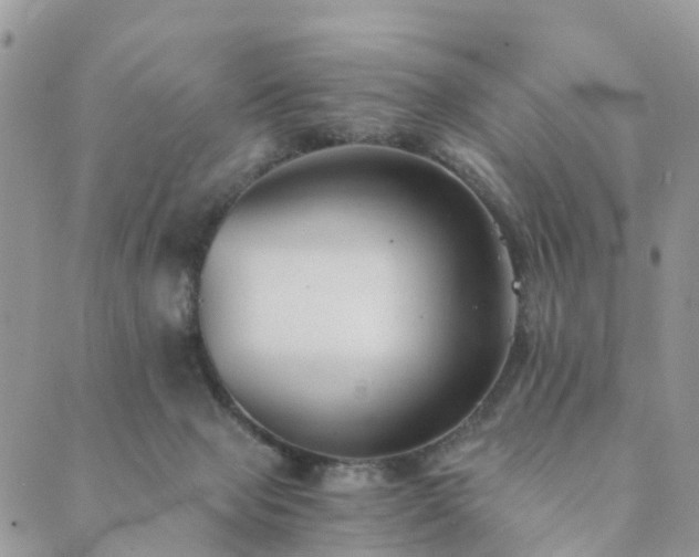 X0000089930077200706291208