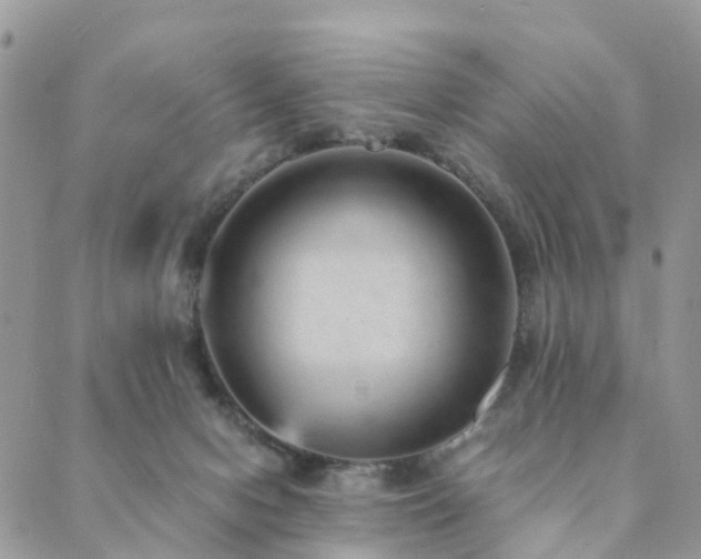 X0000089930078200706291208