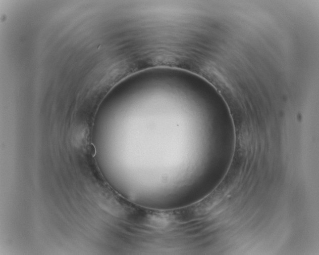 X0000089930079200706291208