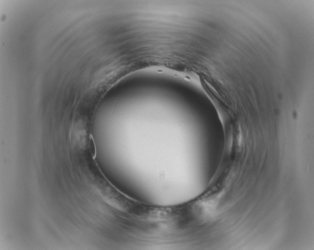 X0000089930080200706291208