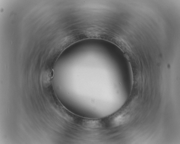 X0000089930081200706291208