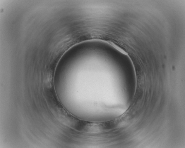 X0000089930082200706291208