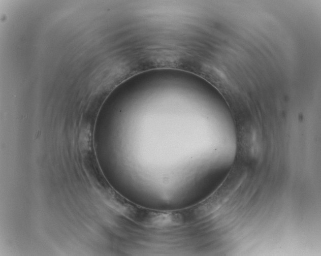 X0000089930083200706291208