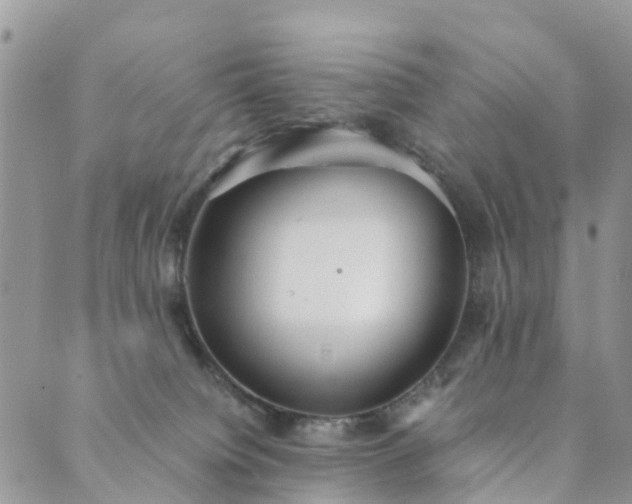 X0000089930084200706291208