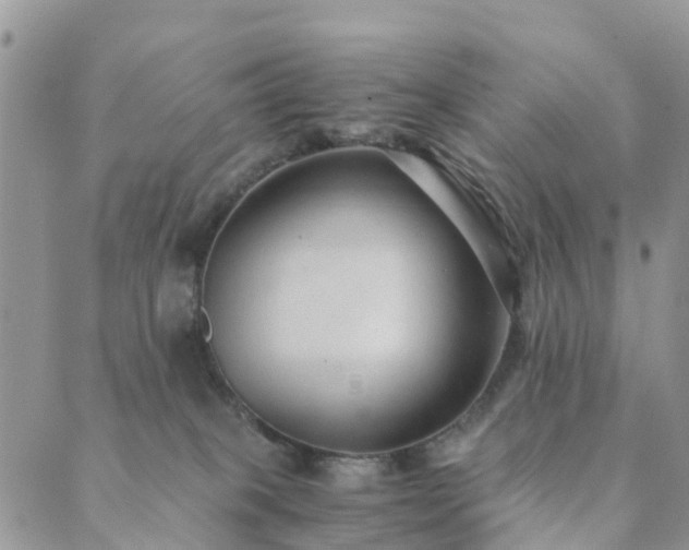 X0000089930085200706291208