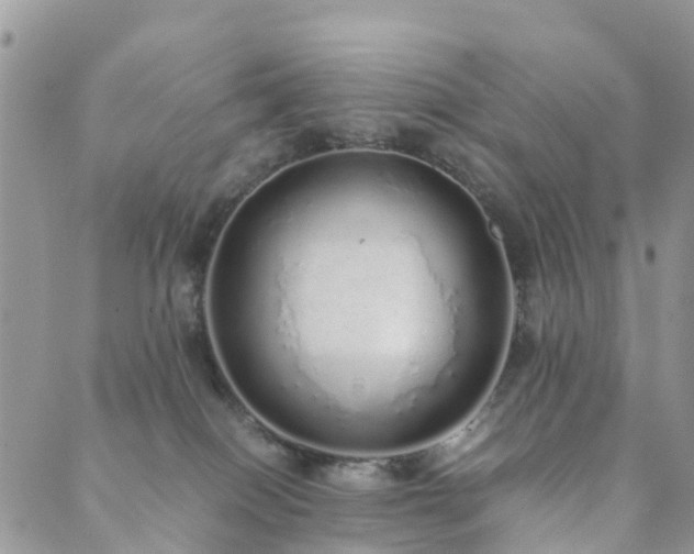 X0000089930086200706291208