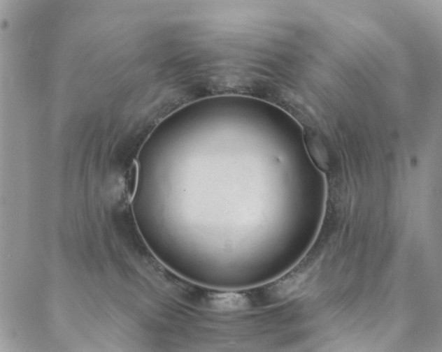 X0000089930087200706291208