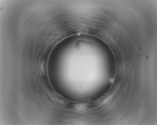 X0000089930088200706291208