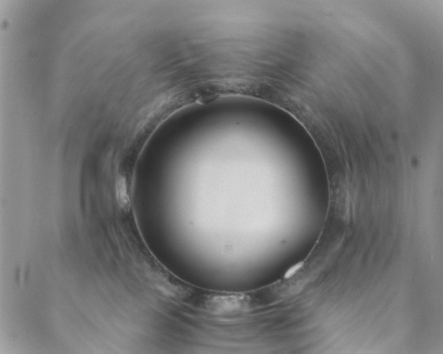 X0000089930089200706291208