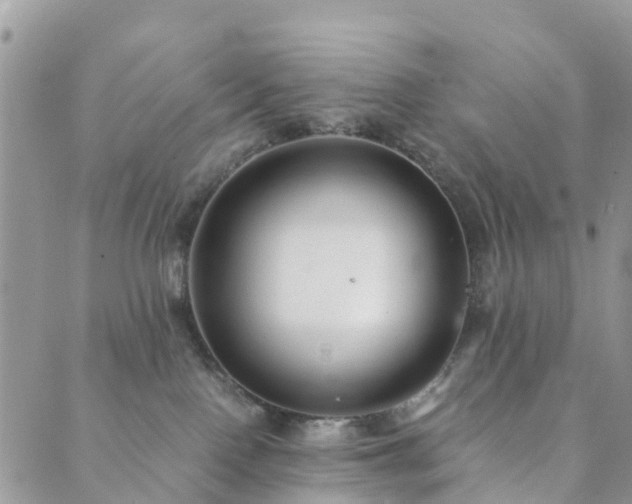 X0000089930090200706291208