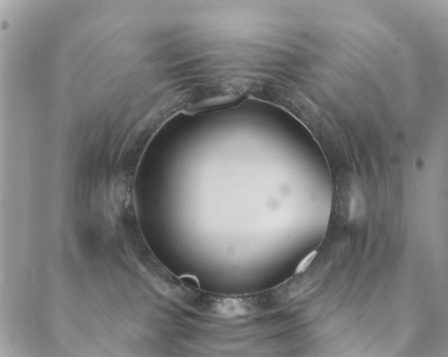 X0000089930091200706291208