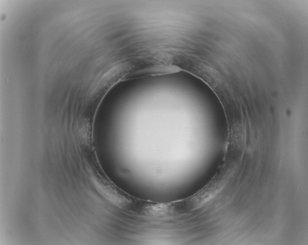 X0000089930092200706291208