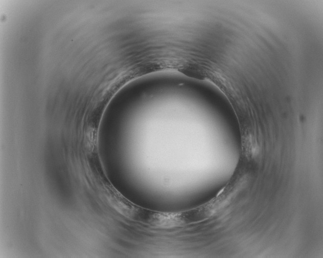 X0000089930093200706291208