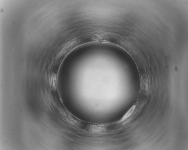 X0000089930094200706291208