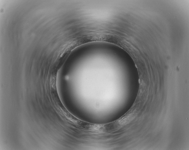 X0000089930096200706291208